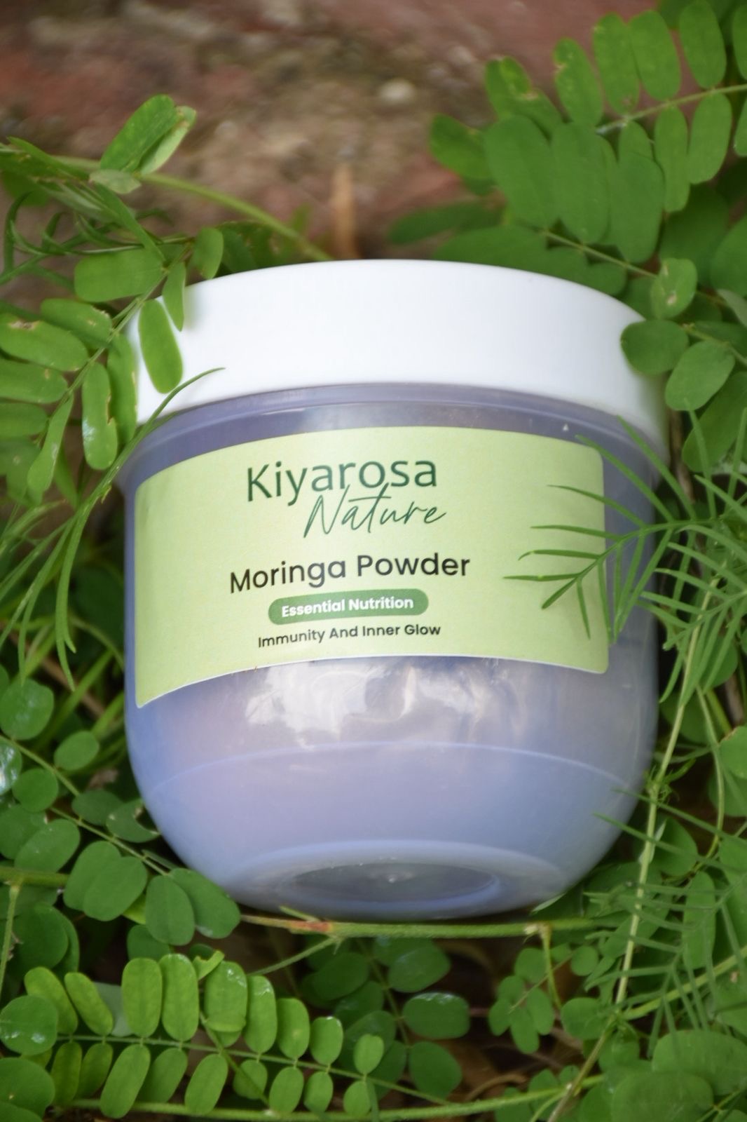 Moringa powder
